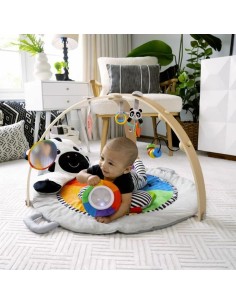 Play mat Baby Einstein 2