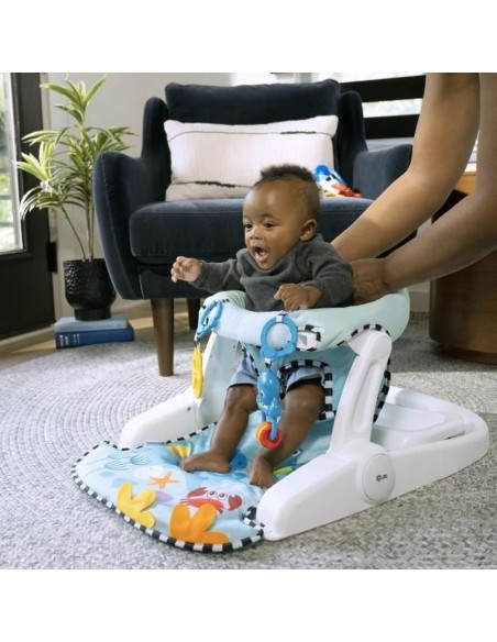Hammock Baby Einstein Blue