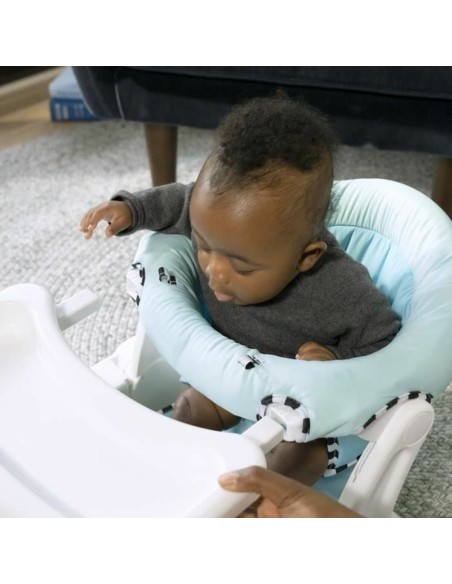 Hammock Baby Einstein Blue