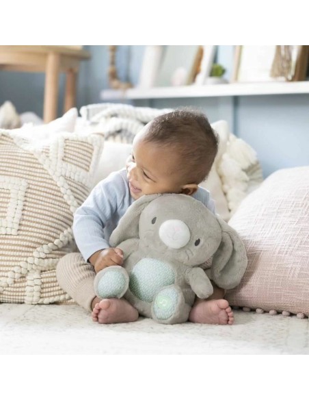 Fluffy toy Ingenuity