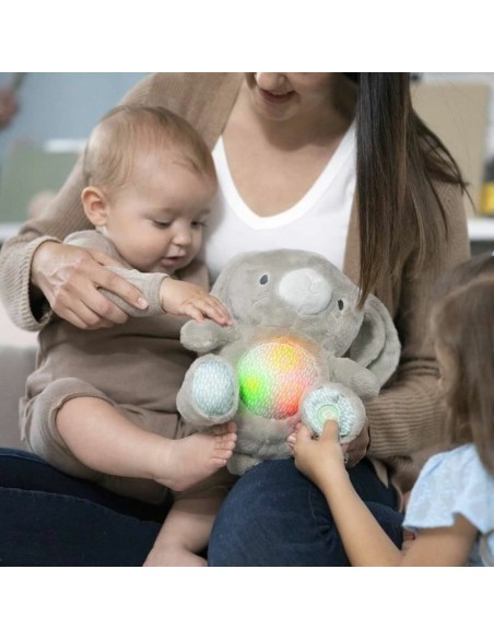 Fluffy toy Ingenuity