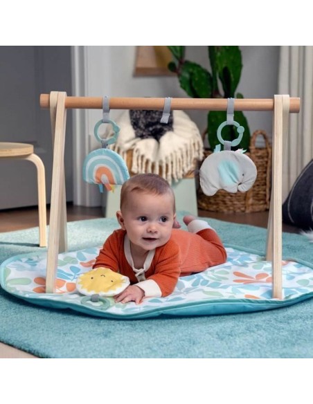 Play mat Ingenuity