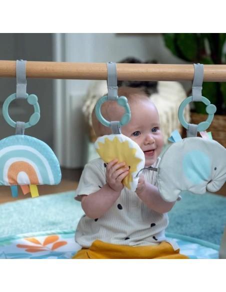 Play mat Ingenuity