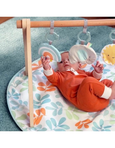 Play mat Ingenuity