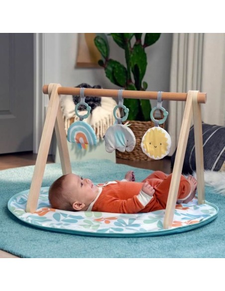 Play mat Ingenuity