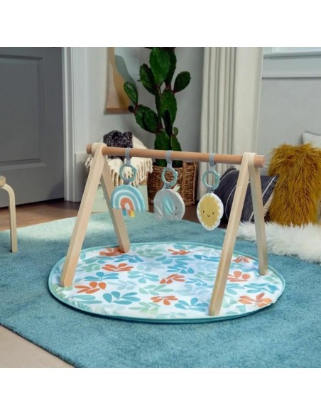 Play mat Ingenuity
