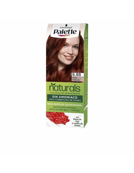 Permanent Dye Palette Natural Schwarzkopf