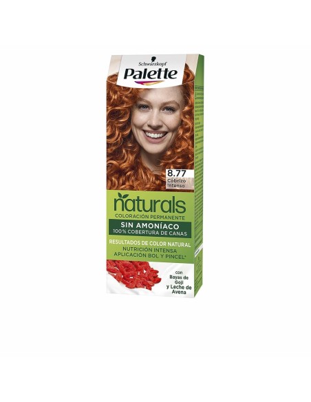 Permanent Dye Palette Natural Schwarzkopf