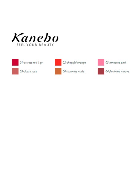 Lip Liner Colours Kanebo