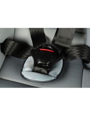 Car Chair Hilo CZ11032 9 - 36 Kg Grey