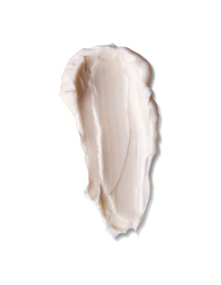 Anti-Ageing Night Cream Sensilis Upgrade Firming 50 ml