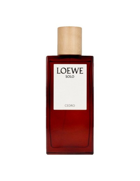 Men's Perfume Loewe 110768 EDT 100 ml