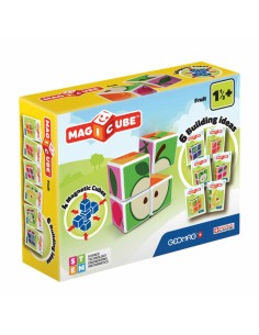 Educational Game Geomag