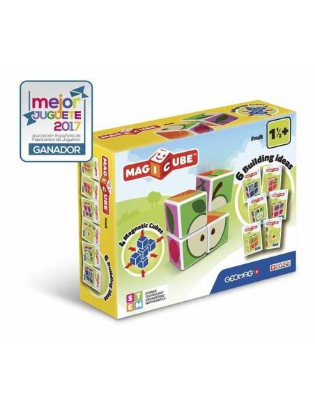 Educational Game Geomag