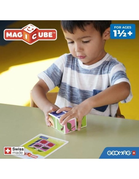Educational Game Geomag