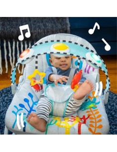 Baby Hammock Baby Einstein Ocean Explorers Kick to It Opus Musical 2