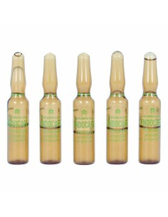 Ampoules Endoncare Tensage Regenerative (10 x 2 ml)