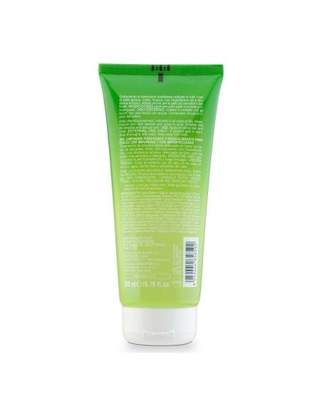 Purifying Gel Cleanser Acnestil Rilastil D42031210 200 ml