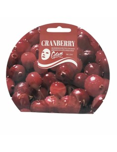 Moisturising and Toning Mask Glam Of Sweden Blueberry (23 ml)