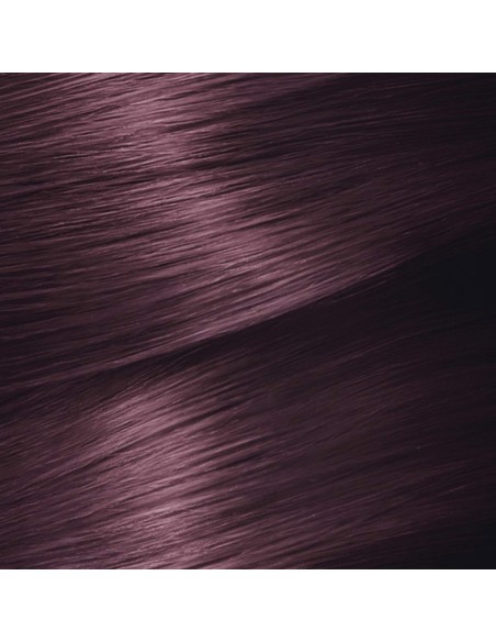 Permanent Dye Garnier Nutrisse Cassis Nº 4,26