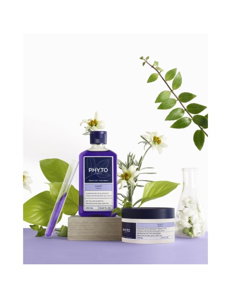Styling Cream Phyto Paris Violet 250 ml