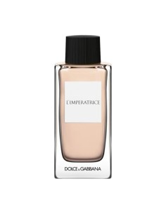Unisex Perfume Dolce & Gabbana D&G ANTHOLOGY EDT 100 ml