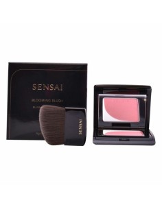 Blush Kanebo 4 g