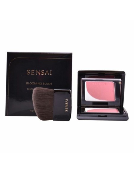 Blush Kanebo 4 g