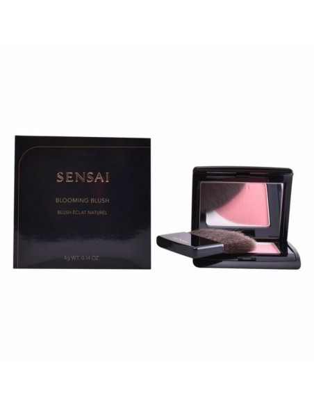 Blush Kanebo 4 g