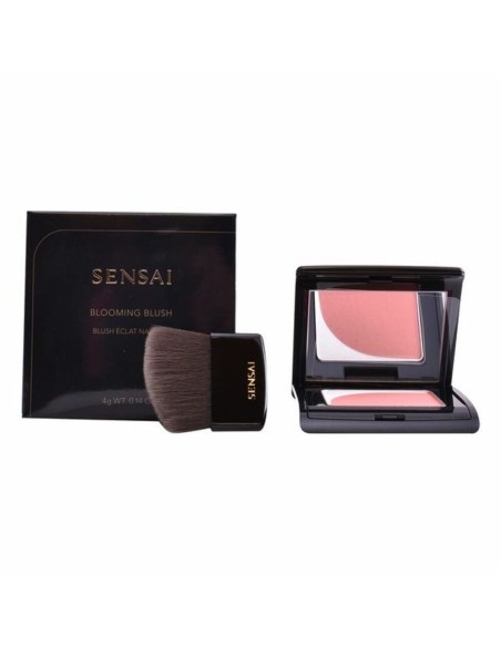 Blush Kanebo 4 g