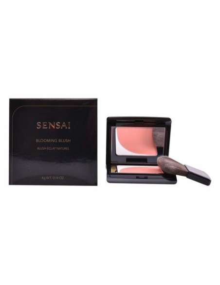Blush Kanebo 4 g