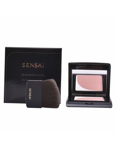 Blush Kanebo 4 g
