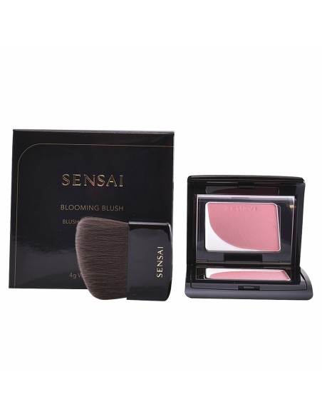 Blush Kanebo 4 g