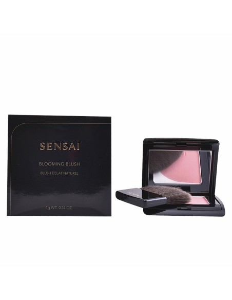 Blush Kanebo 4 g