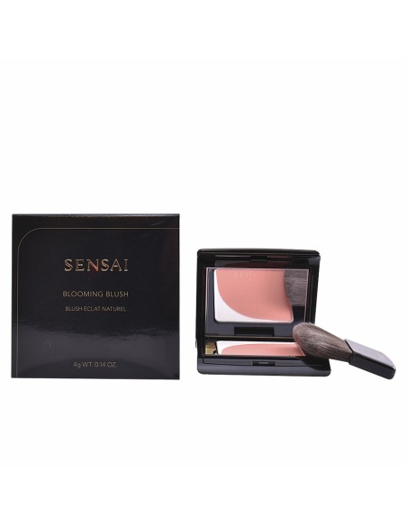 Blush Kanebo 4 g