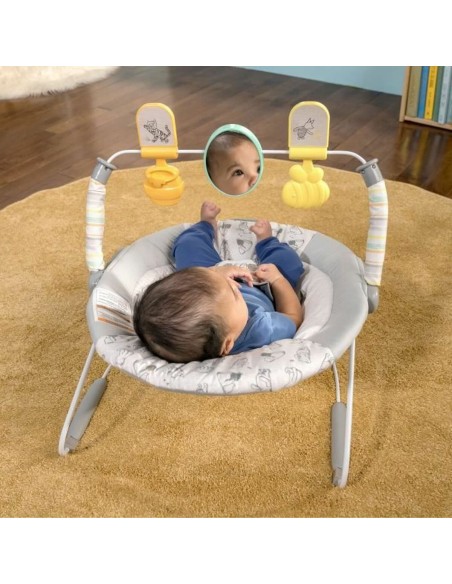 Baby Hammock Bright Starts Blue