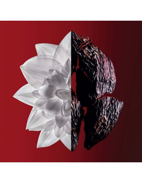 Women's Perfume Givenchy L'Interdit Rouge Ultime 35 ml