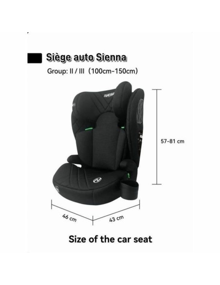 Car Chair Nania