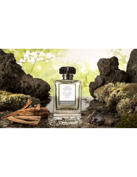 Men's Perfume Carthusia CARTHUSIA UOMO 100 ml