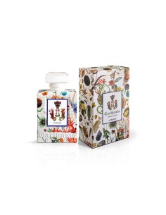Women's Perfume Carthusia A'MMARE 100 ml 2