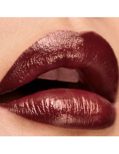 Lip balm Elizabeth Arden Lip Color Nº 17 Chry glze 4 g 2