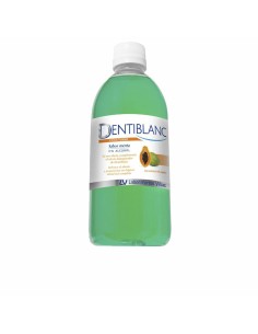 Toilet Bag DENTIBLANC Mint