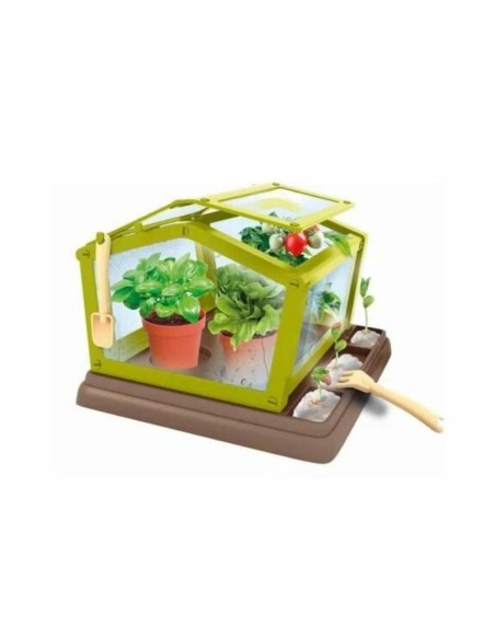Planter Clementoni