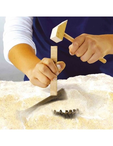 Excavation Game SES Creative T-rex