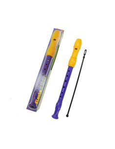 Recorder Reig Purple Yellow With case 2