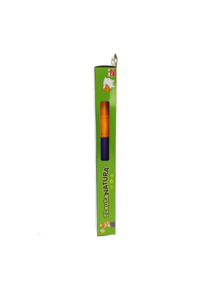 Recorder Reig Purple Yellow With case