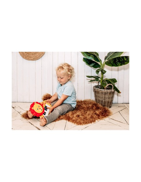 Educational Learning Piano Fisher Price Fisher Price Lion