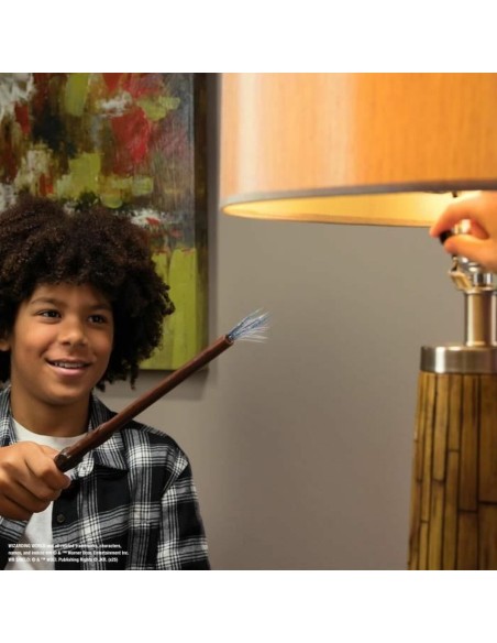 Magic Game Spin Master HARRY POTTER