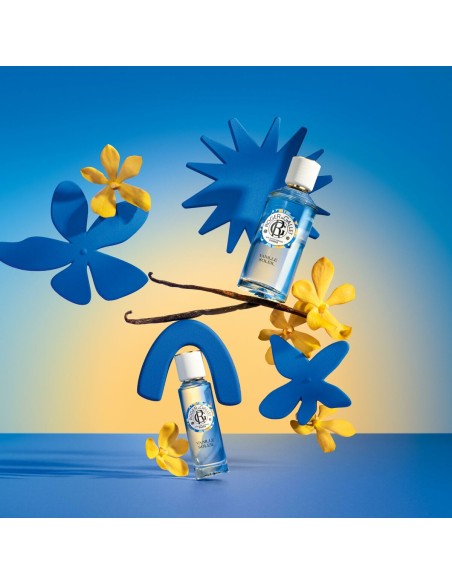 Unisex Perfume Roger & Gallet VAINILLE SOLEIL EDT 30 ml