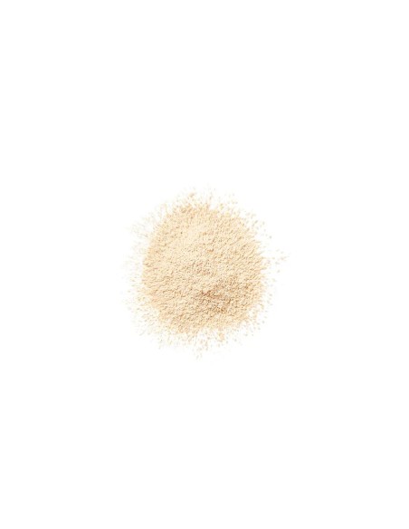 Loose Dust Clinique Blended Invisble bend 35 g